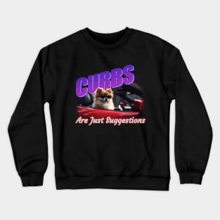 Curbs Are Just Suggestions Meme Crewneck Sweatshirt